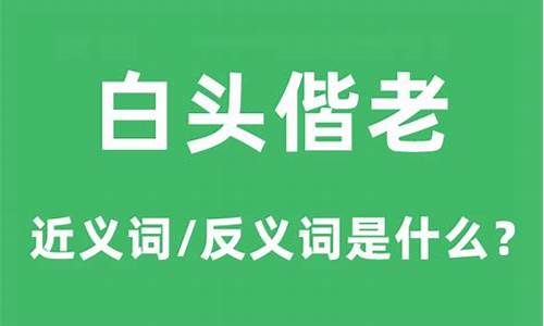 白头偕老的意思解释-白头偕老的意思是什么