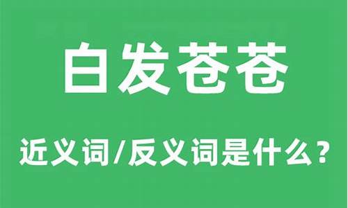 白发苍苍是什么意-白发苍苍的意思