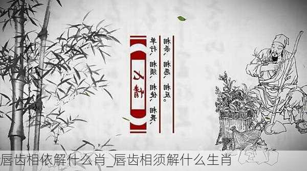 唇齿相依解什么肖_唇齿相须解什么生肖