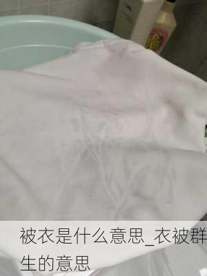 被衣是什么意思_衣被群生的意思