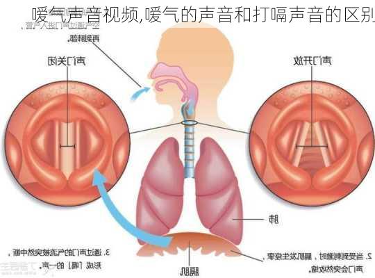 嗳气声音视频,嗳气的声音和打嗝声音的区别