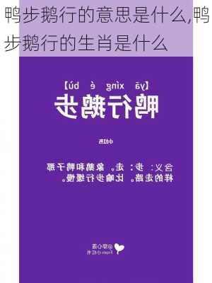 鸭步鹅行的意思是什么,鸭步鹅行的生肖是什么