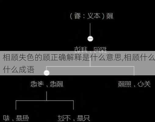 相顾失色的顾正确解释是什么意思,相顾什么什么成语