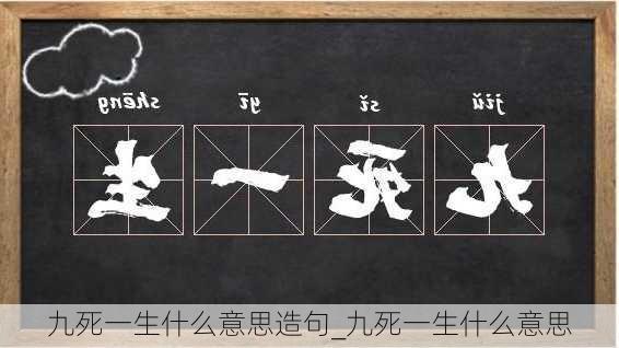 九死一生什么意思造句_九死一生什么意思