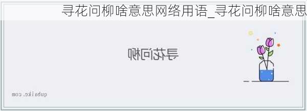 寻花问柳啥意思网络用语_寻花问柳啥意思