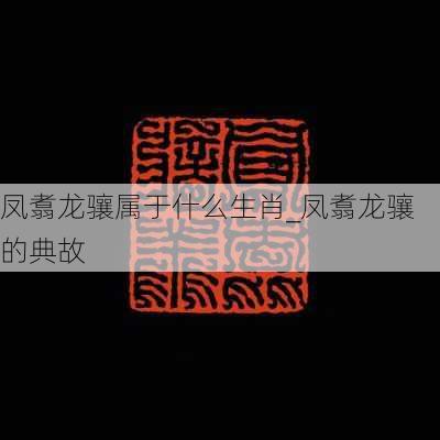 凤翥龙骧属于什么生肖_凤翥龙骧的典故