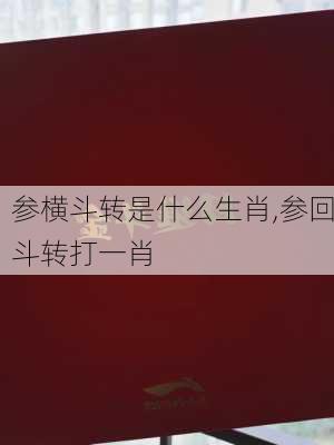 参横斗转是什么生肖,参回斗转打一肖