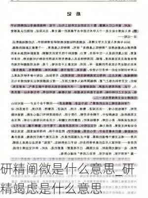 研精阐微是什么意思_研精竭虑是什么意思