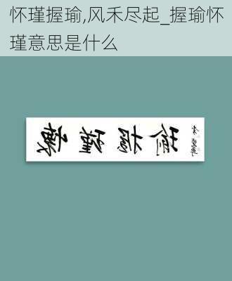 怀瑾握瑜,风禾尽起_握瑜怀瑾意思是什么