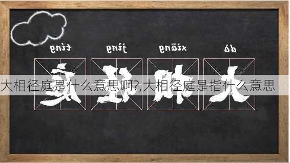 大相径庭是什么意思啊?,大相径庭是指什么意思