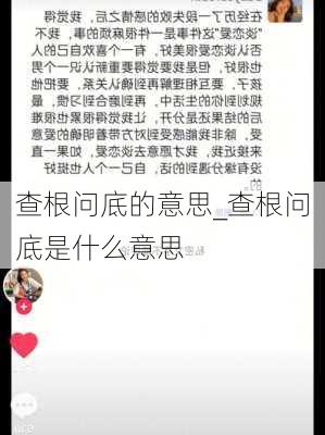 查根问底的意思_查根问底是什么意思