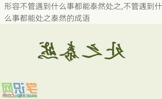 形容不管遇到什么事都能泰然处之,不管遇到什么事都能处之泰然的成语