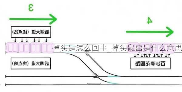 掉头是怎么回事_掉头鼠窜是什么意思