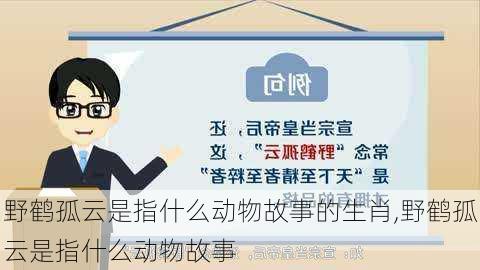 野鹤孤云是指什么动物故事的生肖,野鹤孤云是指什么动物故事