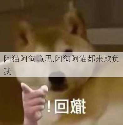 阿猫阿狗意思,阿狗阿猫都来欺负我