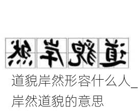 道貌岸然形容什么人_岸然道貌的意思