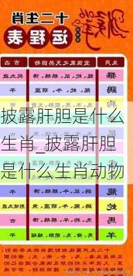 披露肝胆是什么生肖_披露肝胆是什么生肖动物