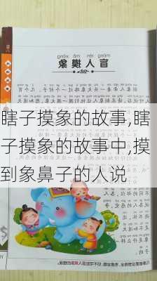 瞎子摸象的故事,瞎子摸象的故事中,摸到象鼻子的人说