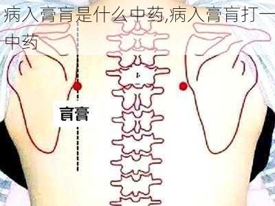 病入膏肓是什么中药,病入膏肓打一中药