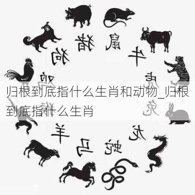 归根到底指什么生肖和动物_归根到底指什么生肖