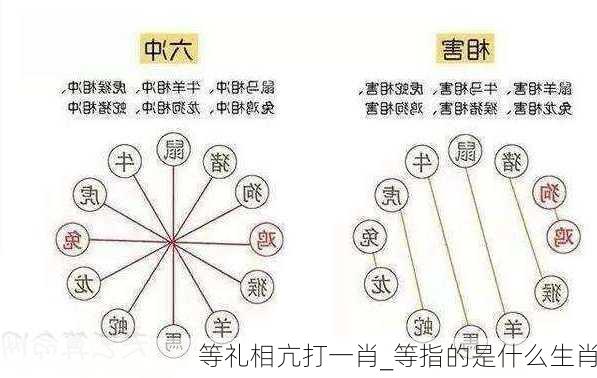 等礼相亢打一肖_等指的是什么生肖