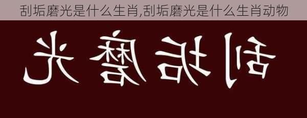 刮垢磨光是什么生肖,刮垢磨光是什么生肖动物