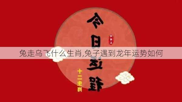 兔走乌飞什么生肖,兔子遇到龙年运势如何