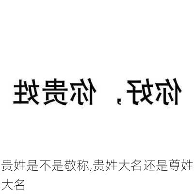 贵姓是不是敬称,贵姓大名还是尊姓大名