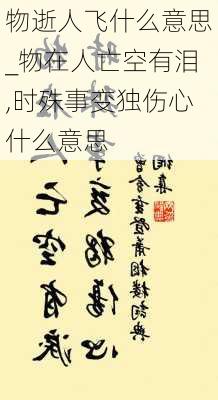 物逝人飞什么意思_物在人亡空有泪,时殊事变独伤心什么意思