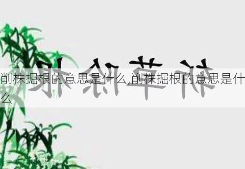 削株掘根的意思是什么,削株掘根的意思是什么