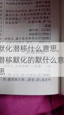 默化潜移什么意思,潜移默化的默什么意思