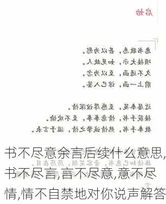 书不尽意余言后续什么意思,书不尽言,言不尽意,意不尽情,情不自禁地对你说声解答