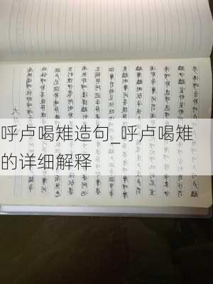 呼卢喝雉造句_呼卢喝雉的详细解释