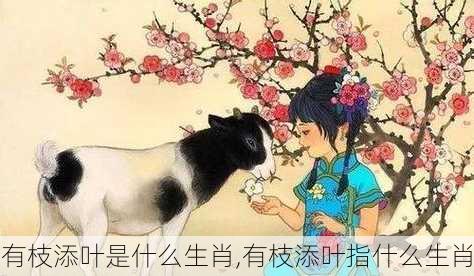 有枝添叶是什么生肖,有枝添叶指什么生肖