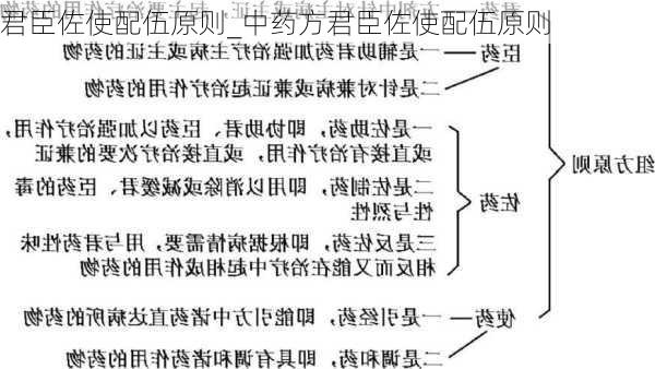 君臣佐使配伍原则_中药方君臣佐使配伍原则