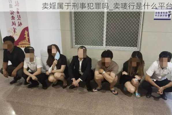 卖婬属于刑事犯罪吗_卖唛行是什么平台