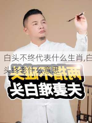 白头不终代表什么生肖,白头终老什么意思