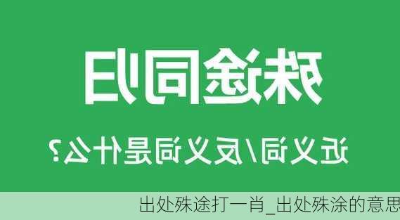 出处殊途打一肖_出处殊涂的意思