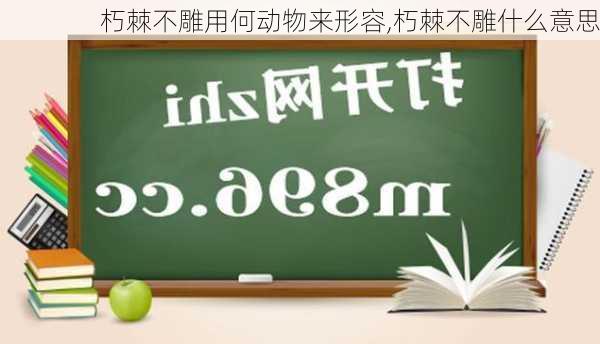 朽棘不雕用何动物来形容,朽棘不雕什么意思