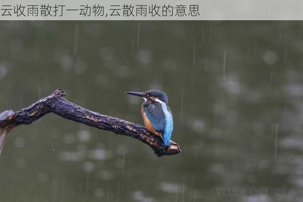 云收雨散打一动物,云散雨收的意思