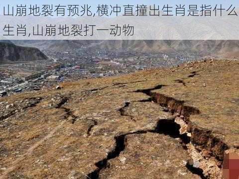 山崩地裂有预兆,横冲直撞出生肖是指什么生肖,山崩地裂打一动物