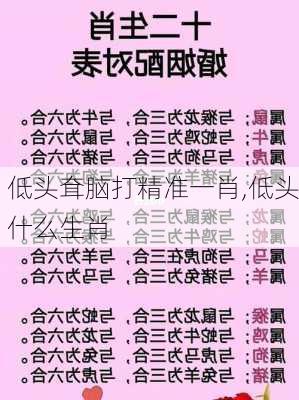 低头耷脑打精准一肖,低头什么生肖