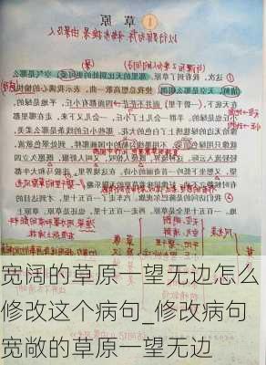 宽阔的草原一望无边怎么修改这个病句_修改病句宽敞的草原一望无边