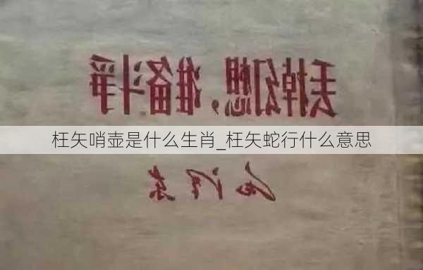 枉矢哨壶是什么生肖_枉矢蛇行什么意思