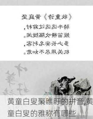 黄童白叟聚睢盱的拼音,黄童白叟的雅称有哪些