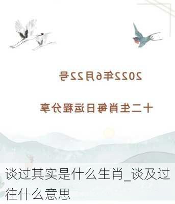 谈过其实是什么生肖_谈及过往什么意思