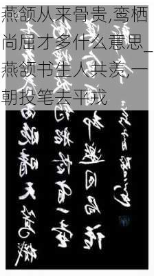 燕颔从来骨贵,鸾栖尚屈才多什么意思_燕颔书生人共羡,一朝投笔去平戎