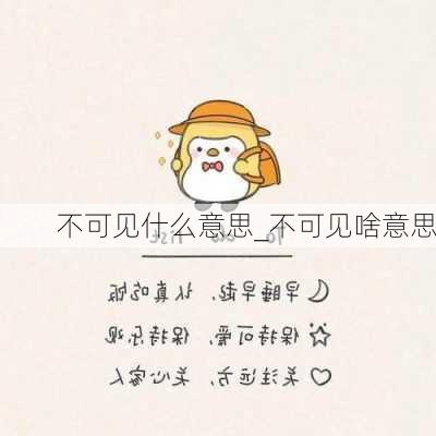 不可见什么意思_不可见啥意思