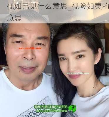 视如己见什么意思_视险如夷的意思