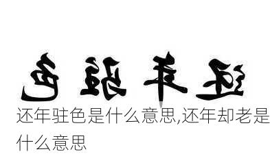 还年驻色是什么意思,还年却老是什么意思